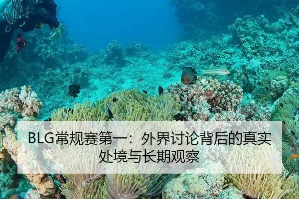 BLG常规赛第一：外界讨论背后的真实处境与长期观察（hth）